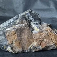开缸一周测出pH8.5：翻了下近期青龙石、万天石和沉木的翻车帖，我把哪些石不能碰、哪块木要躲、骨架钱怎么花理清了