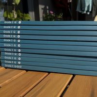 开学第一周，RAZ日更崩了：拉完40多条一手打卡记录，一天20分钟才是学期内真实行情