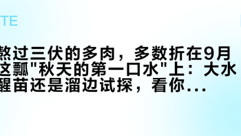 熬过三伏的多肉，多数折在9月这瓢秋天的第一口水上：大水醒苗还是溜边试探，看你夏天的根