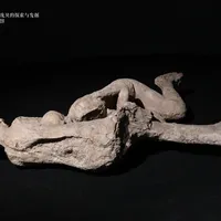 抖森新纪录片《寻迹庞贝古城》在播，国博庞贝展只剩40天：先看片还是先看展？