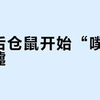 入秋后仓鼠开始“噗噗”打喷嚏？先别下单买药：一张72小时排查清单，和一张就医价格表