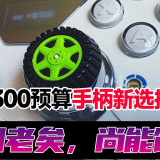 百亿补贴后￥330：“老A8”八爪鱼4是300元档最值得入的手柄吗？