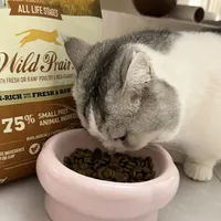 “猫不吃”的爱肯拿正在涌入二手市场：9.11 囤粮前先看这四个变量和一本止损账