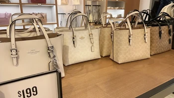 Coach年入80亿美元，股价却单日暴跌16%：买Tabby前，先把这份渠道价差账算明白
