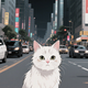 猫咪第一次照镜子，盯半天懵了：这货咋跟我长一模一样？