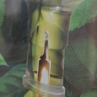 居家染发天花板✨章华百草解密纯黑｜植萃遮白不假黑