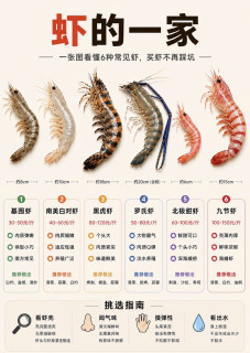 6种常见虾怎么选🦐一张图分清不花冤枉钱