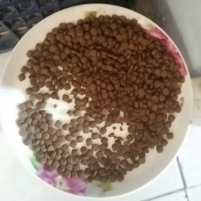 宽福猫粮
