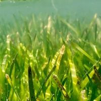 夜宵甜饮党怕蛀牙：专业线防蛀牙膏测评别漏掉修护