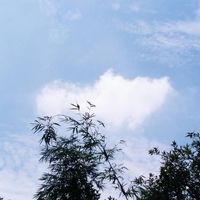 几百元的当当狸相机，让新手也能玩转摄影