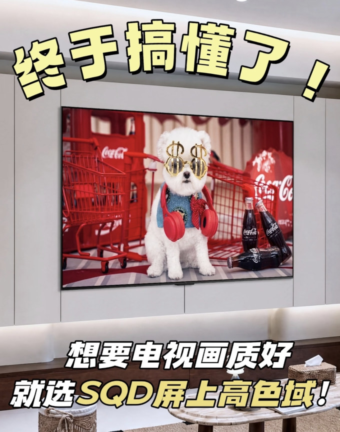 电视
