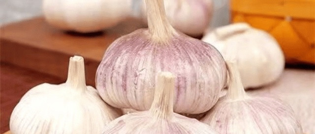 大蒜风味化学与生物活性解析