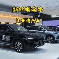 19个月销冠!中国电车拿下高门槛新加坡