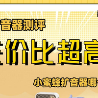 开学季小蜜蜂领夹扩音器哪个牌子好？教师用哪款扩音器？