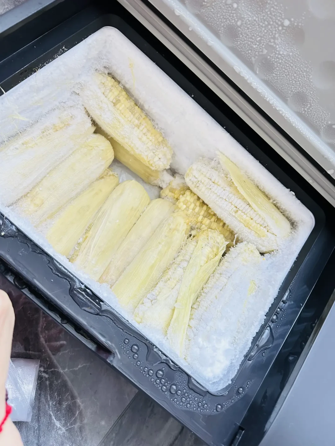 开车才凉、停车就化、夜里变蒸笼、一年修一回:国庆自驾要不要带车载冰箱,先算清温差、供电、吃灰这三笔账