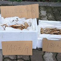食菌季末班车：鸡枞收官、松茸降到年内低位，但有一种菌千万别自己网购回家炒