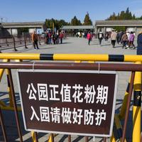 别当感冒治！北方秋季花粉过敏高峰来了：几十元就能搞定的自救指南