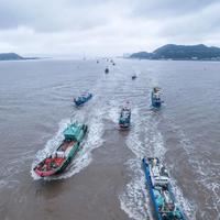 黄渤海9月1日中午开海，东海要等到9月16：全国开渔分三批差一个月，追头鲜的最佳时间根本不是开渔日