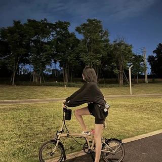 骑了半个月，秤纹丝不动：翻完全网折叠车减肥实录，我把7700大卡这笔账算清了