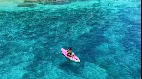 8月就有8个台风生成，9月预计还有4-6个：国庆浮潜别急着退，先弄懂海况恢复的规律