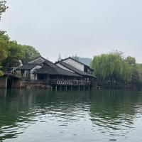 乌镇被骂商业化，为什么还是人最多？把乌镇、南浔、西塘、周庄摆在一起，答案出来了