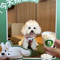 星巴克让付费顾客"给狗让座"之后,规则悄悄变了:长坐党落座前,先看这5件事