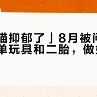 「我的猫抑郁了」8月被问爆：先别下单玩具和二胎，做好排除三步走