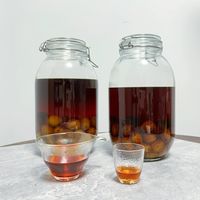 用绝对伏特加泡果酒,9月开泡正当时:15篇热帖同口径折算,冷泡只剩30度上下,4元一杯和3条红线一次说清