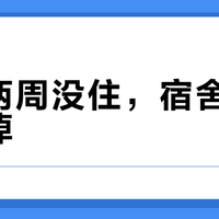 返校两周没住，宿舍长霉擦不掉？对比完才发现：很多除霉剂的有效成分和84是一回事