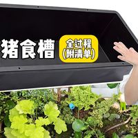 空中花园与低维护种植 | 绿植造景9.1日报