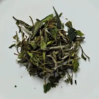 白茶集体