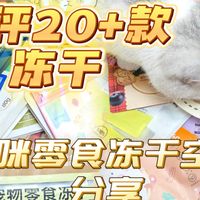 冻干实测、自制磨牙零食 | 萌宠零食9.1日报