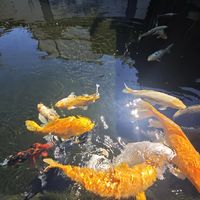 欧亚瑟"20年不换"转鼓被评论区拆台：对完全网翻车实录后，这笔钱该花在哪一档