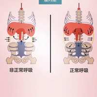 练核心先伤腰？你可能从「收紧核心」这步就理解错了