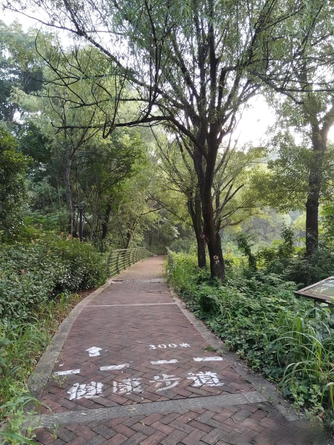 从破冰到默契协作:和同事一起运动如何成为职场关系润滑剂