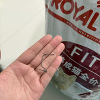 皇家猫粮被曝吃出铁丝、罐头吃出异物：宠物粮撑不起“退一赔十”，发现异物先做对这4步