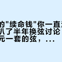 一把琴的"续命钱"你一直没算过：全网扒了半年换弦讨论，17元和160元一套的弦，差的不是音色，是你手上那点汗