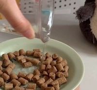 2026年高蛋白猫咪主食冻干清单，看这篇就够