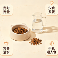 新手养宠别踩坑！科学喂养指南
