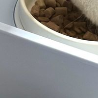 2026年自有工厂猫咪主食冻干，靠谱品牌这样选