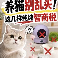 养猫两年才醒悟❗这些网红宠物用品全是智商税💸