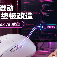 文章