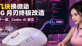 ROG 月刃终极改造：十几块换手感，侧键一键唤醒 Codexyes外挂！