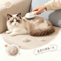 家里毛孩子离不开的好物