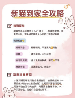 幼猫到家全攻略✅疫苗驱虫、日常护理、省钱避坑清单
