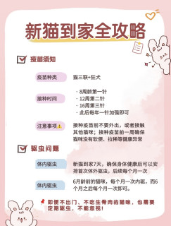 幼猫到家全攻略✅疫苗驱虫、日常护理、省钱避坑清单
