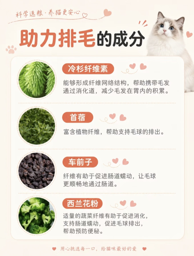 猫粮