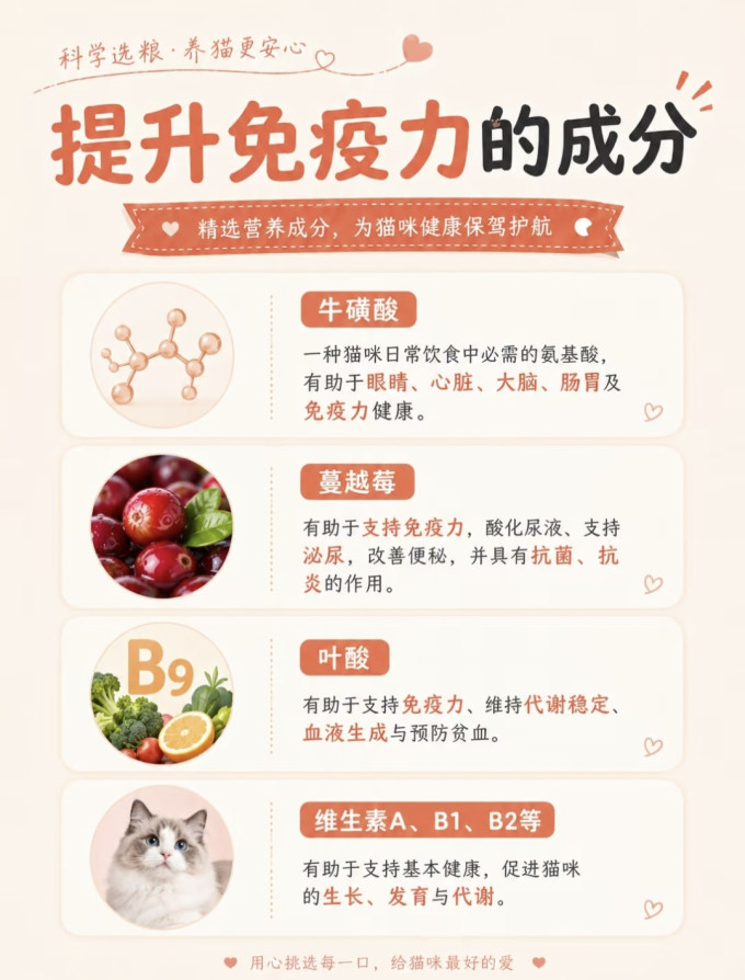 猫粮