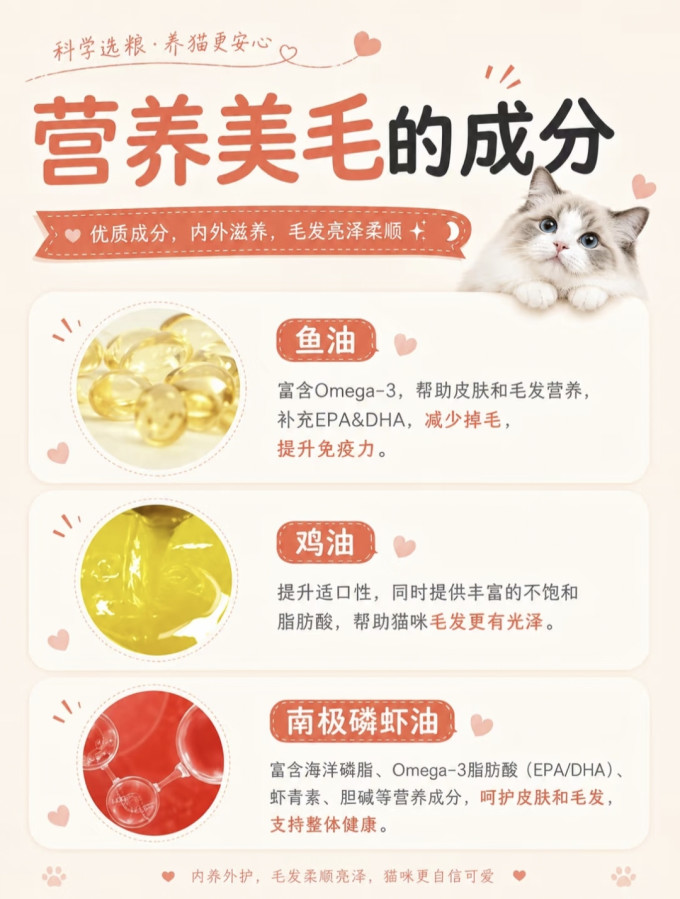 猫粮