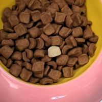 斜口陶瓷食盆改善狗狗泪痕实测